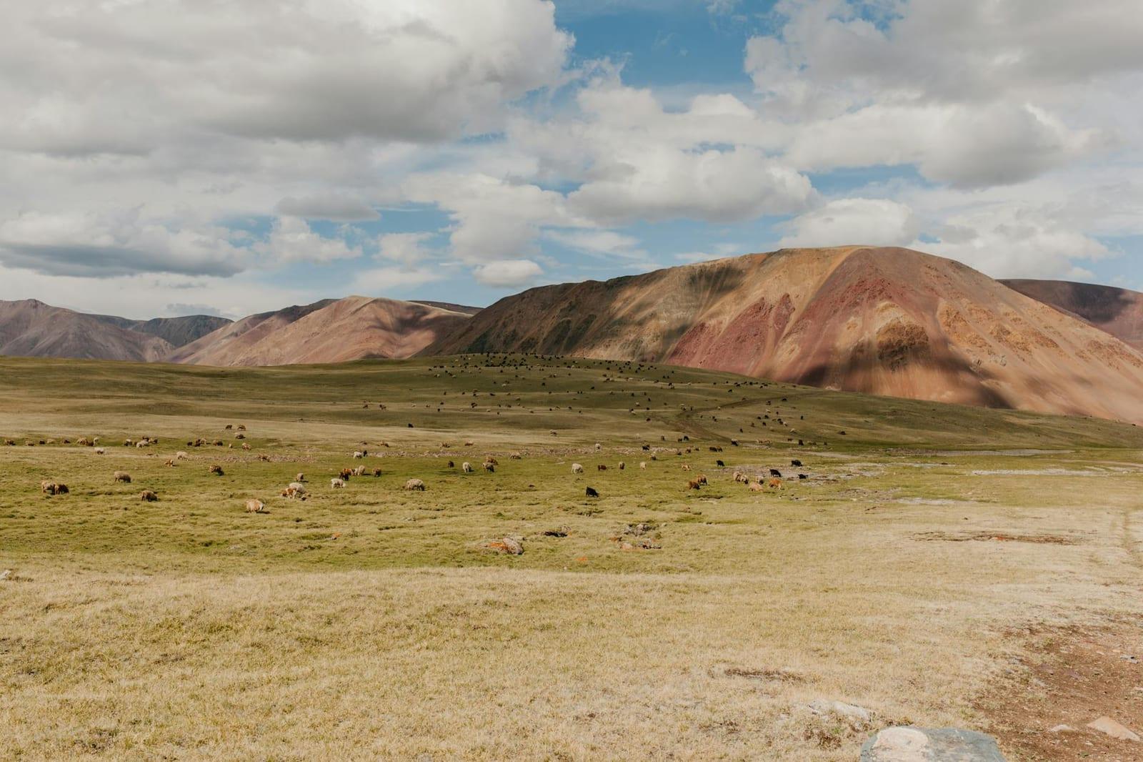 Khan Khentii Strictly Protected Area, Mongolia