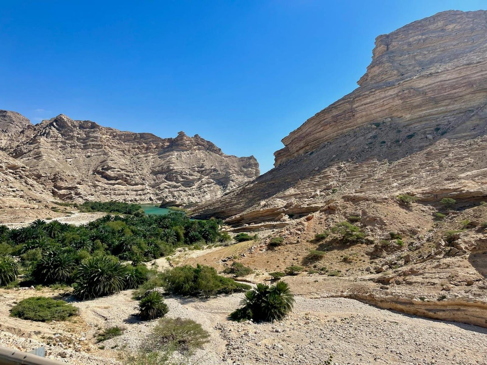 Wadi Dawkah (“Land of Frankincense”), Oman