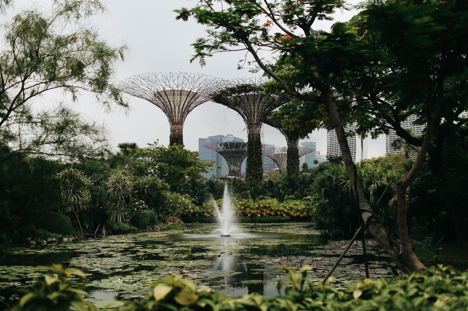 Singapore Botanic Gardens, Singapore
