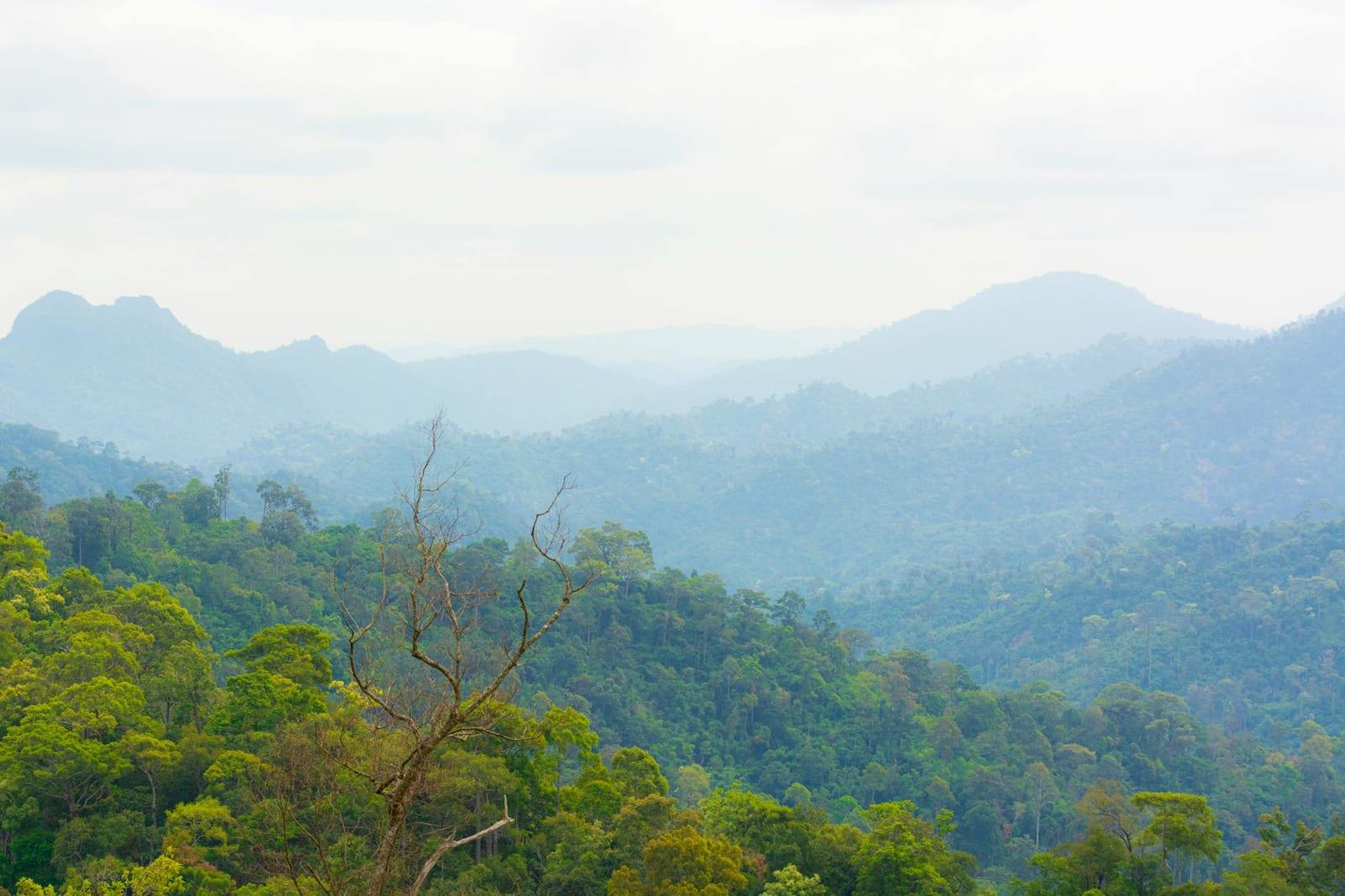Thungyai-Huai Kha Khaeng Wildlife Sanctuaries, Thailand
