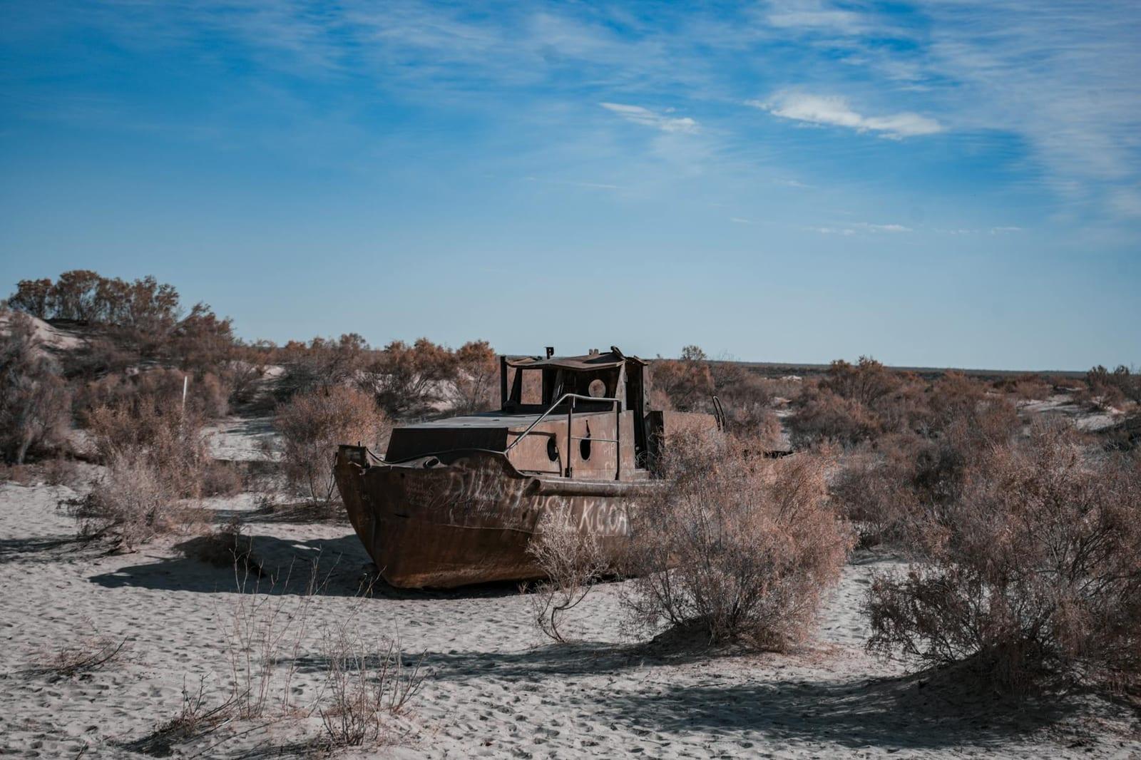 Aral Sea, Uzbekistan