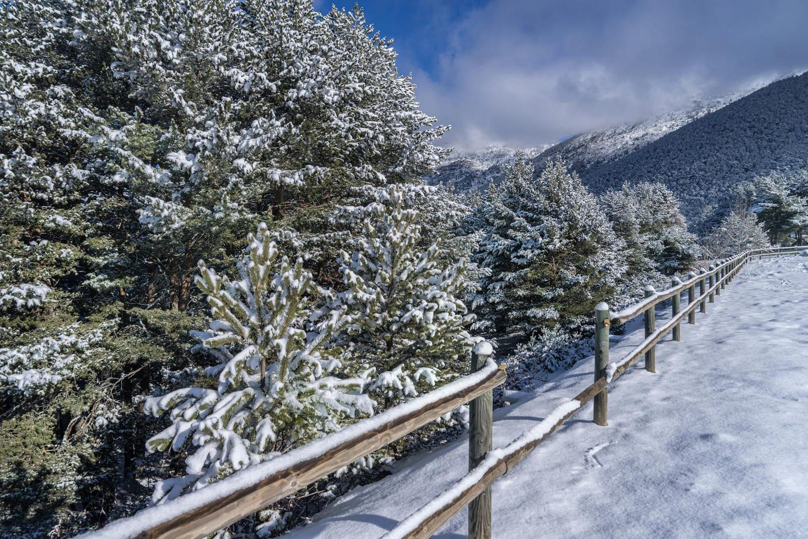 Coma Pedrosa, Andorra