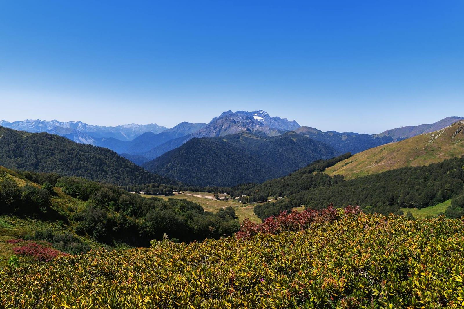 Lagodekhi National Park, Georgia