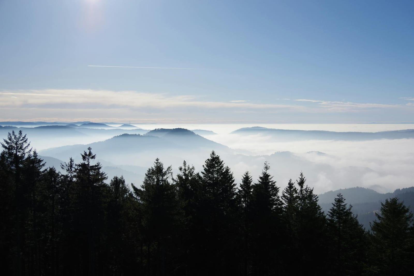 Schwarzwald, Germany