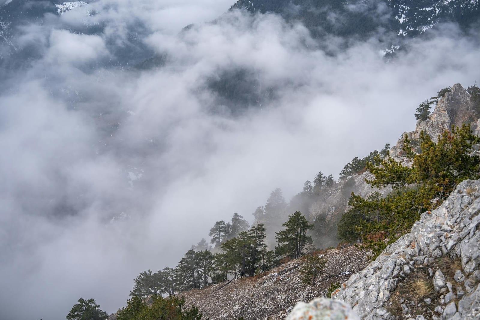 Sar Mountains National Park, Kosovo