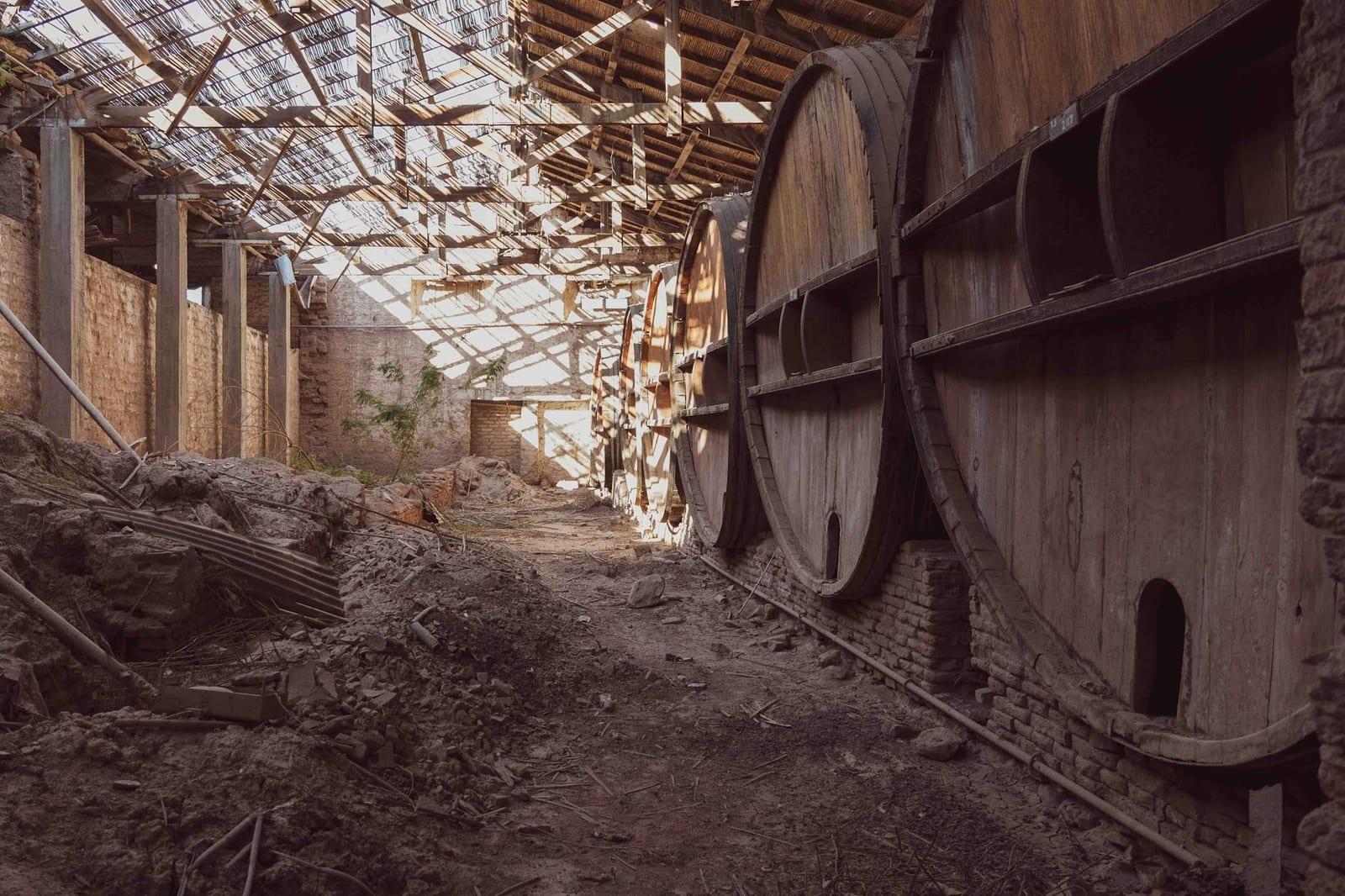Milestii Mici Winery, Moldova