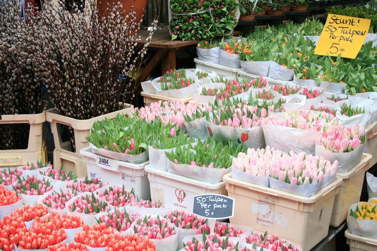 Aalsmeer Flower Auction, Netherlands