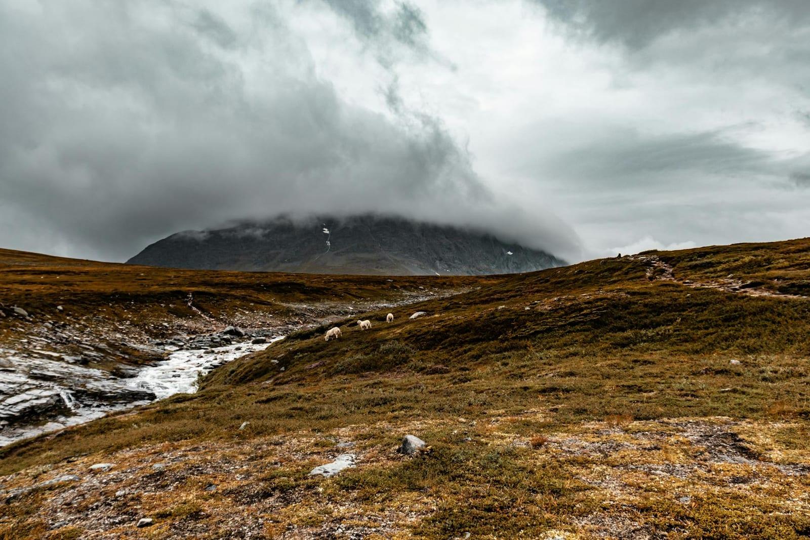 Hardangervidda National Park, Norway