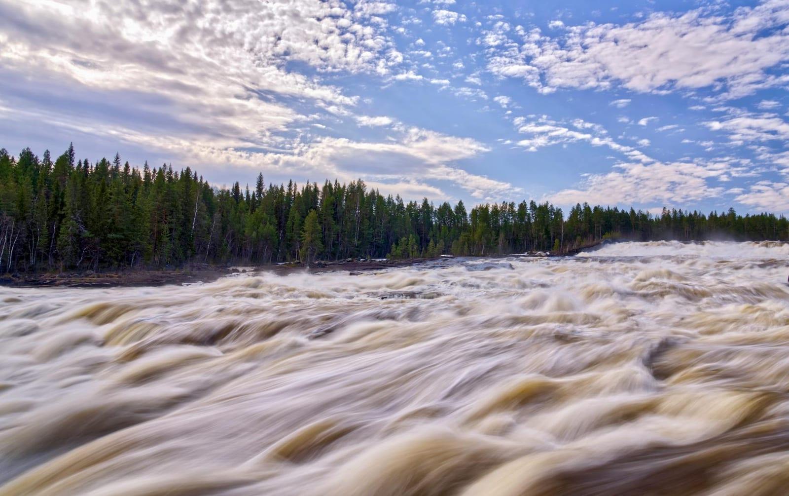 Färnebofjärden National Park, Sweden