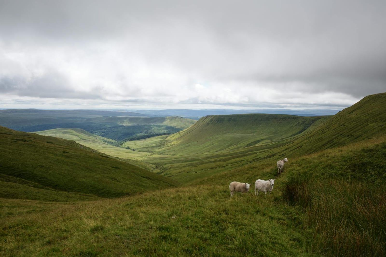 Brecon Beacons National Park, Wales