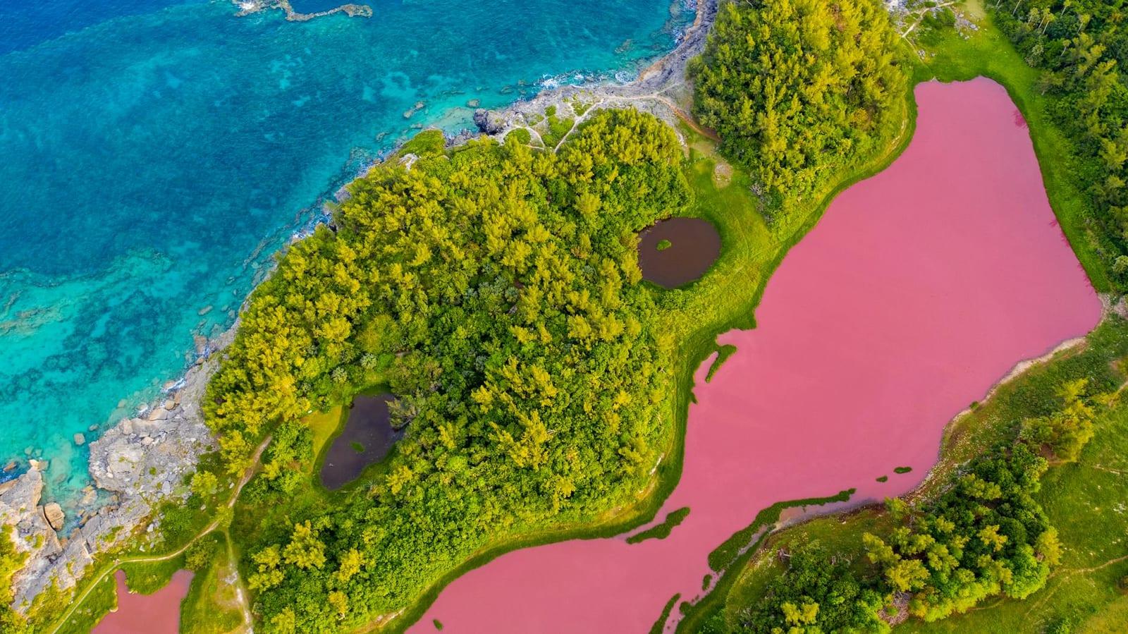 Spittal Pond Nature Reserve, Bermuda