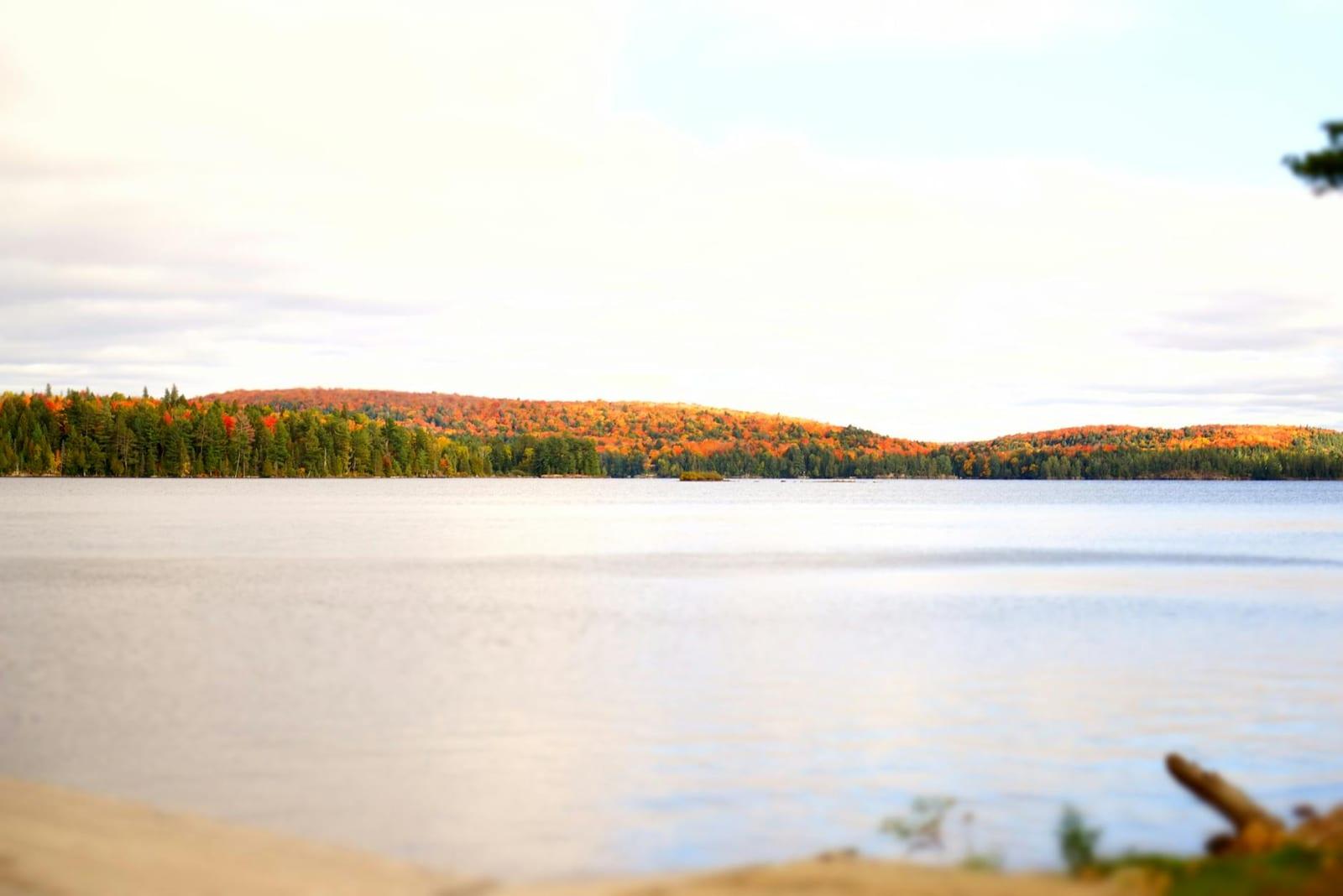 Algonquin Provincial Park, Canada