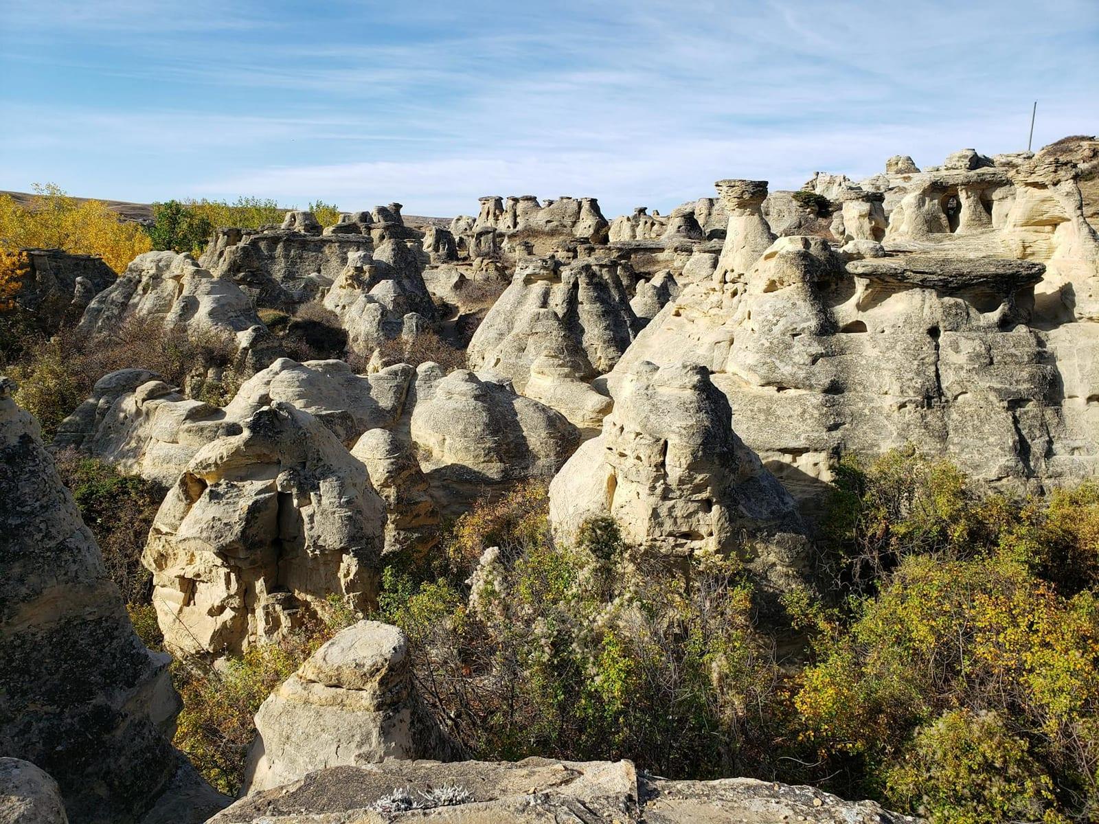 Dinosaur Provincial Park, Canada