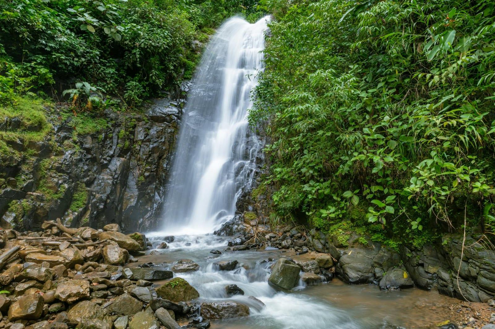 Corcovado National Park, Costa Rica