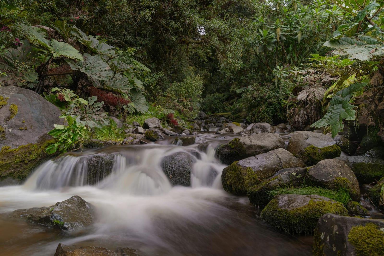 Cerro Chirripo, Costa Rica
