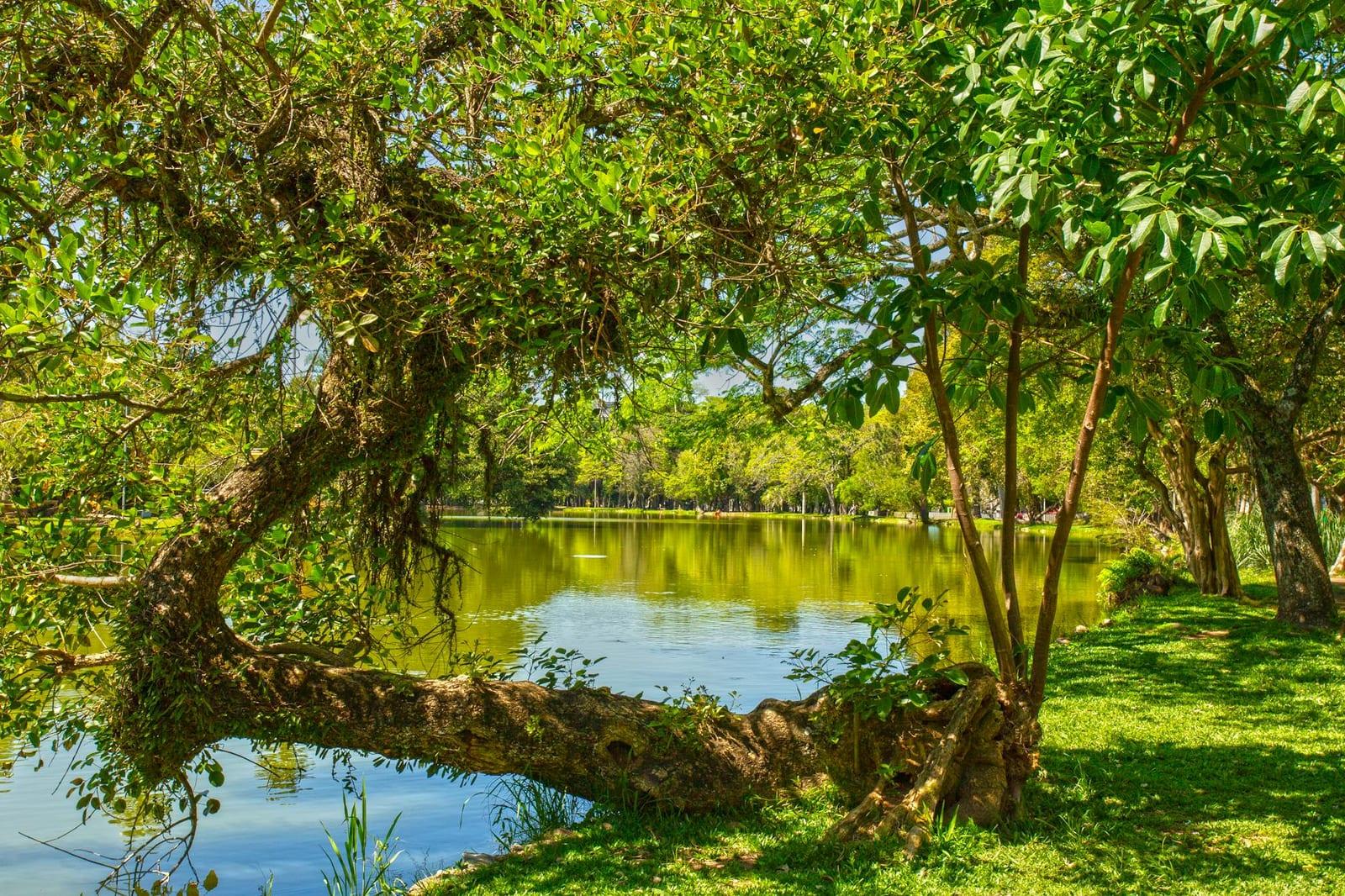 Grand Etang Lake, Grenada