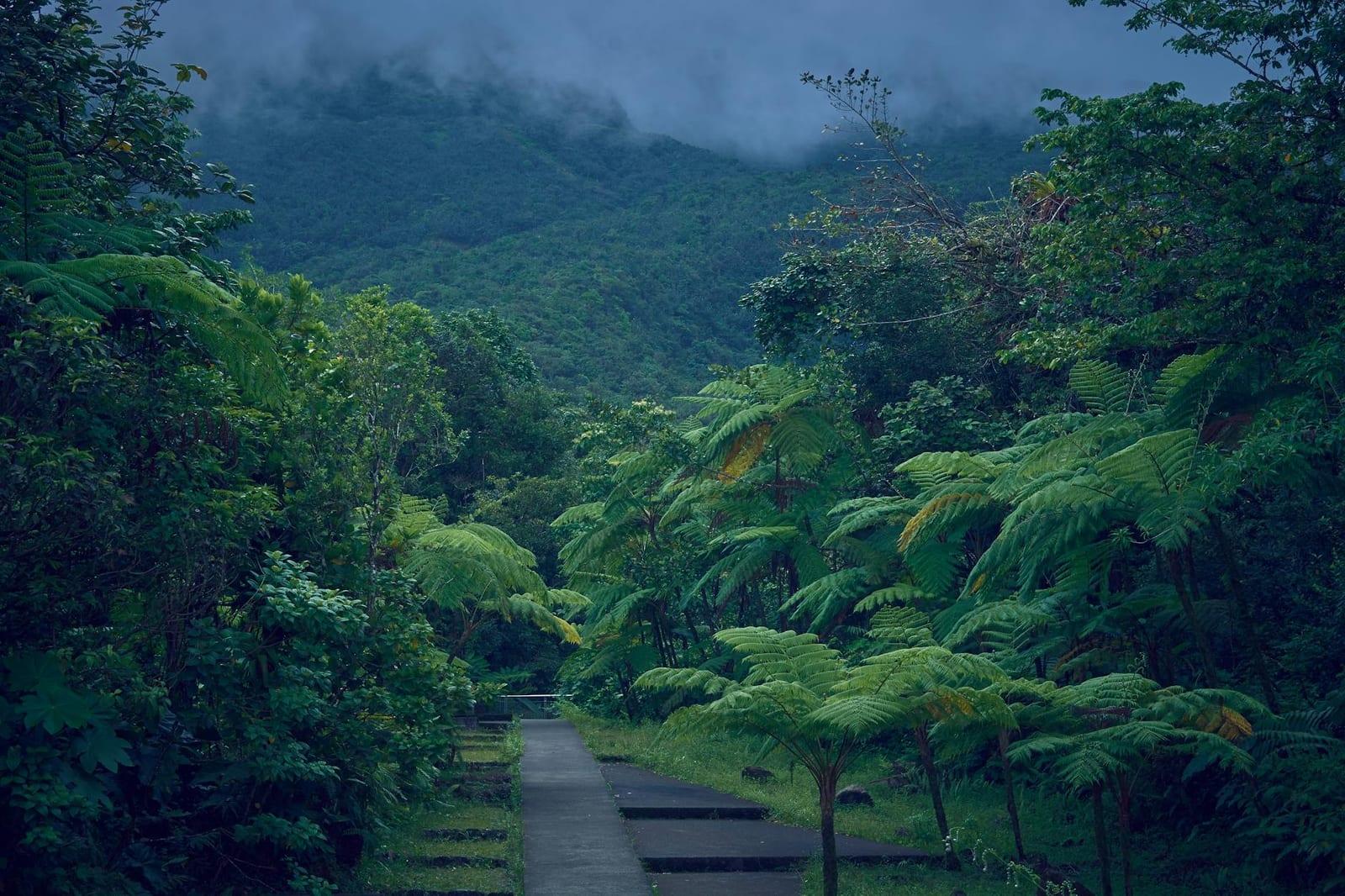 Grand Cul-de-Sac Nature Reserve, Guadeloupe