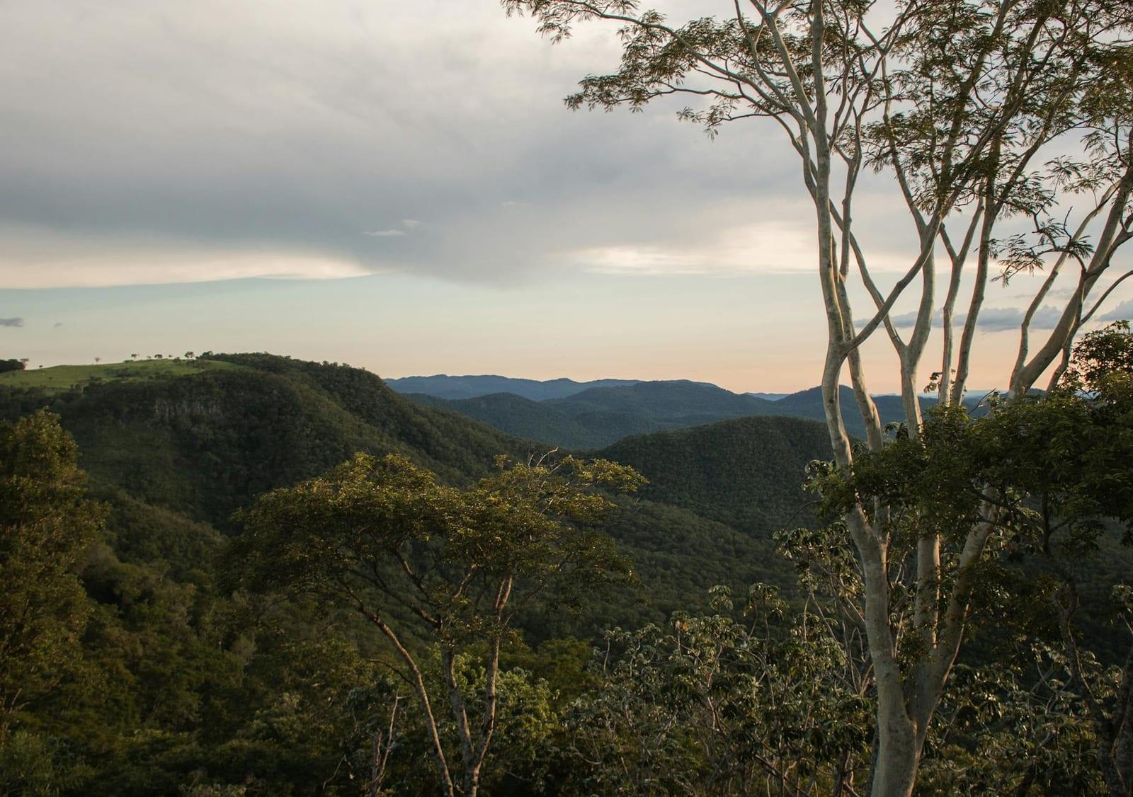 Pico Bonito National Park, Honduras