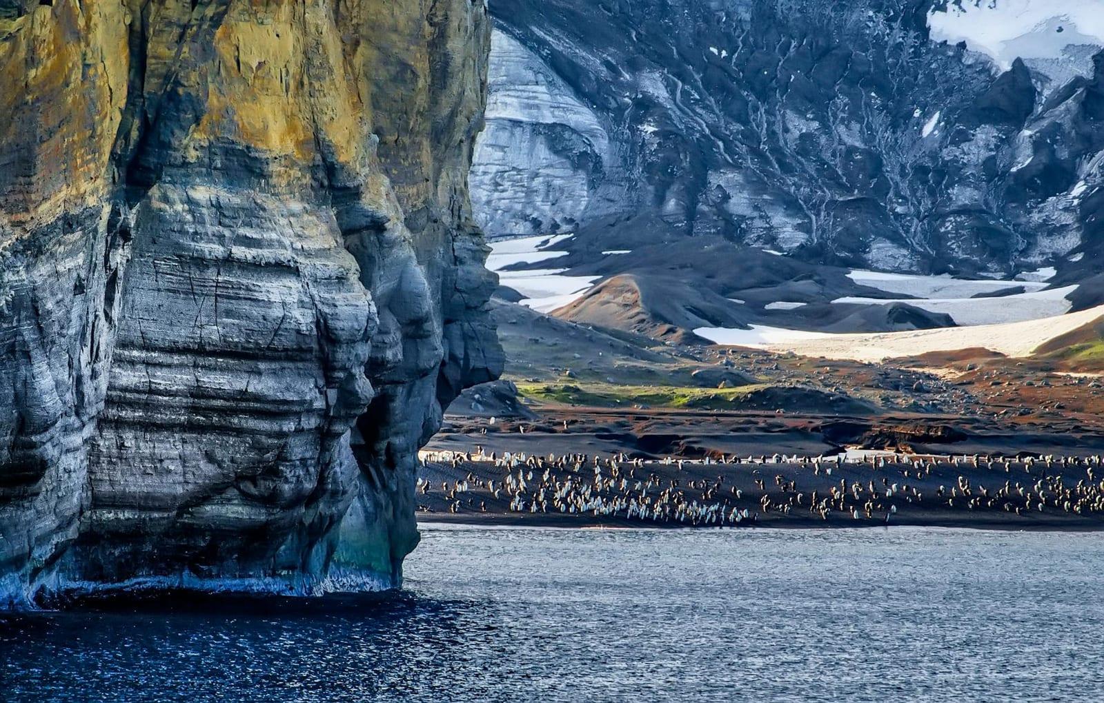 Half Moon Island, Antarctica
