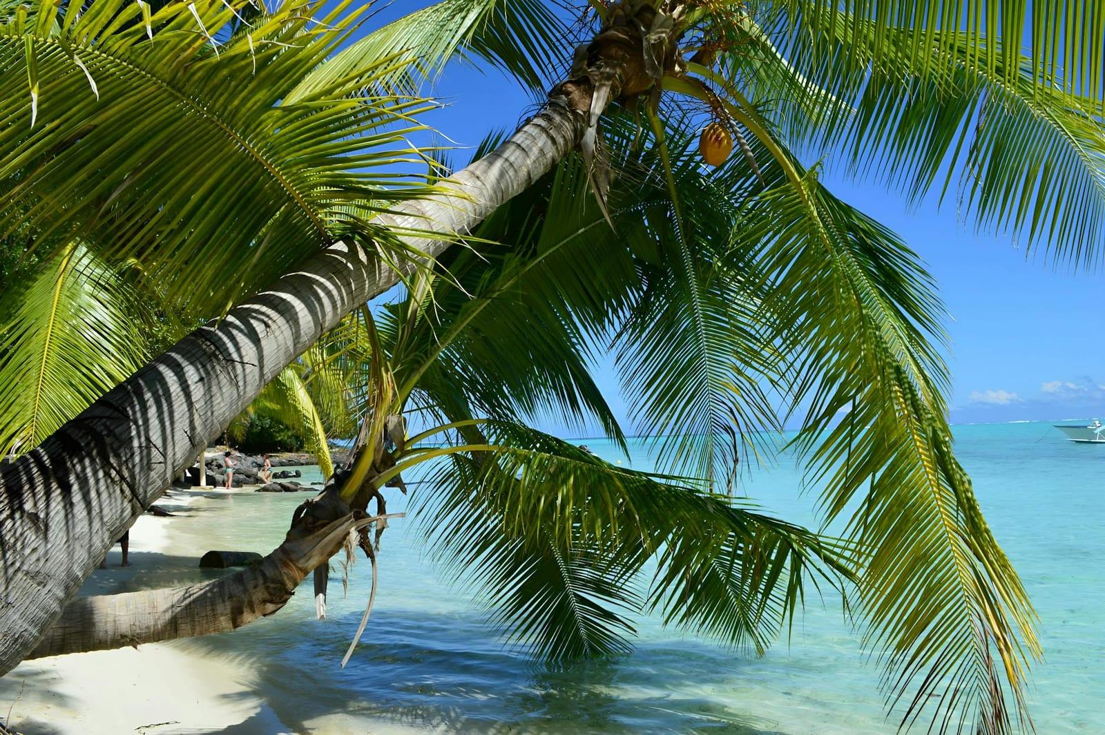 Bora Bora, French Polynesia