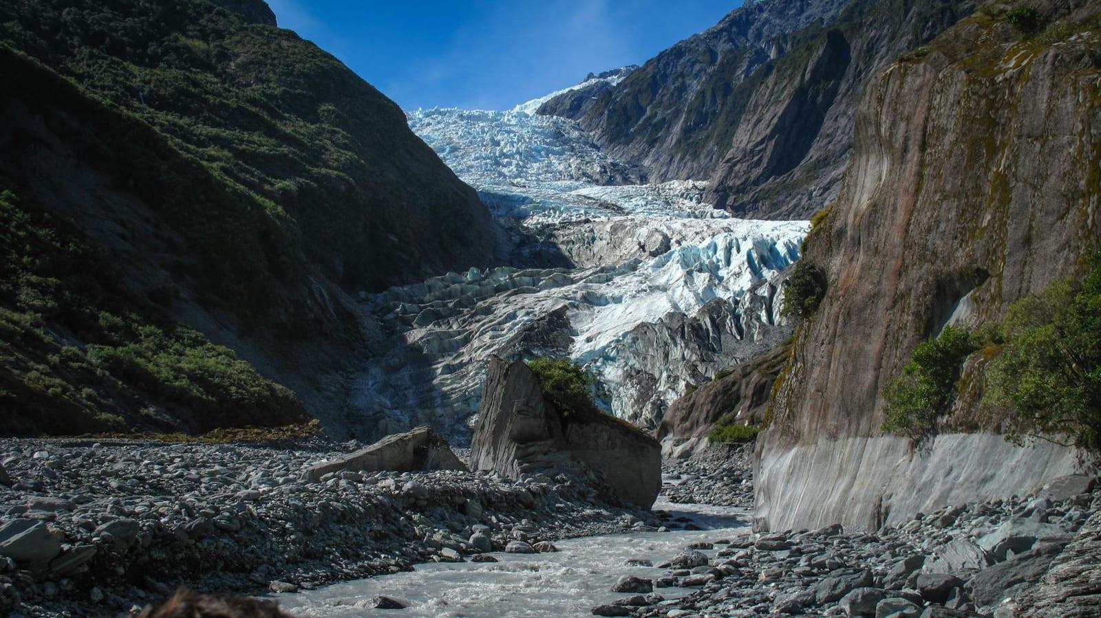 Westland National Park, New Zealand
