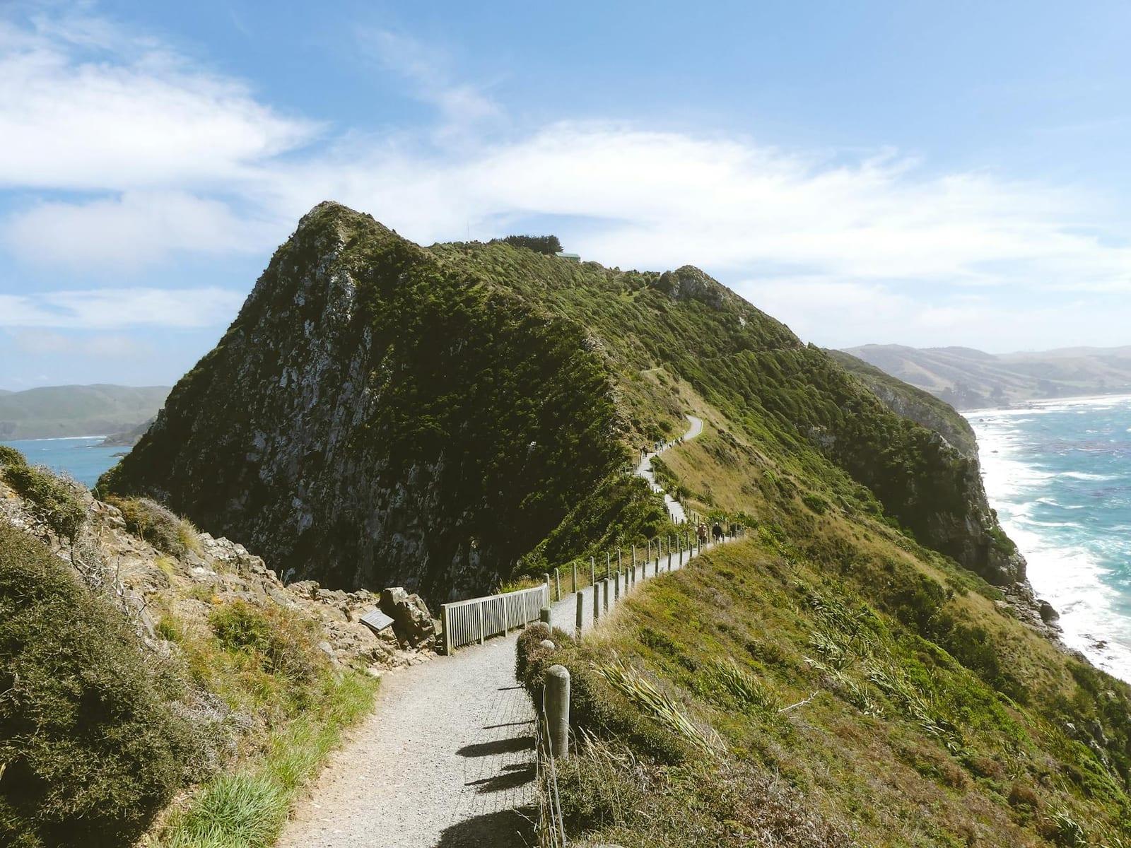 Otago Peninsula, New Zealand
