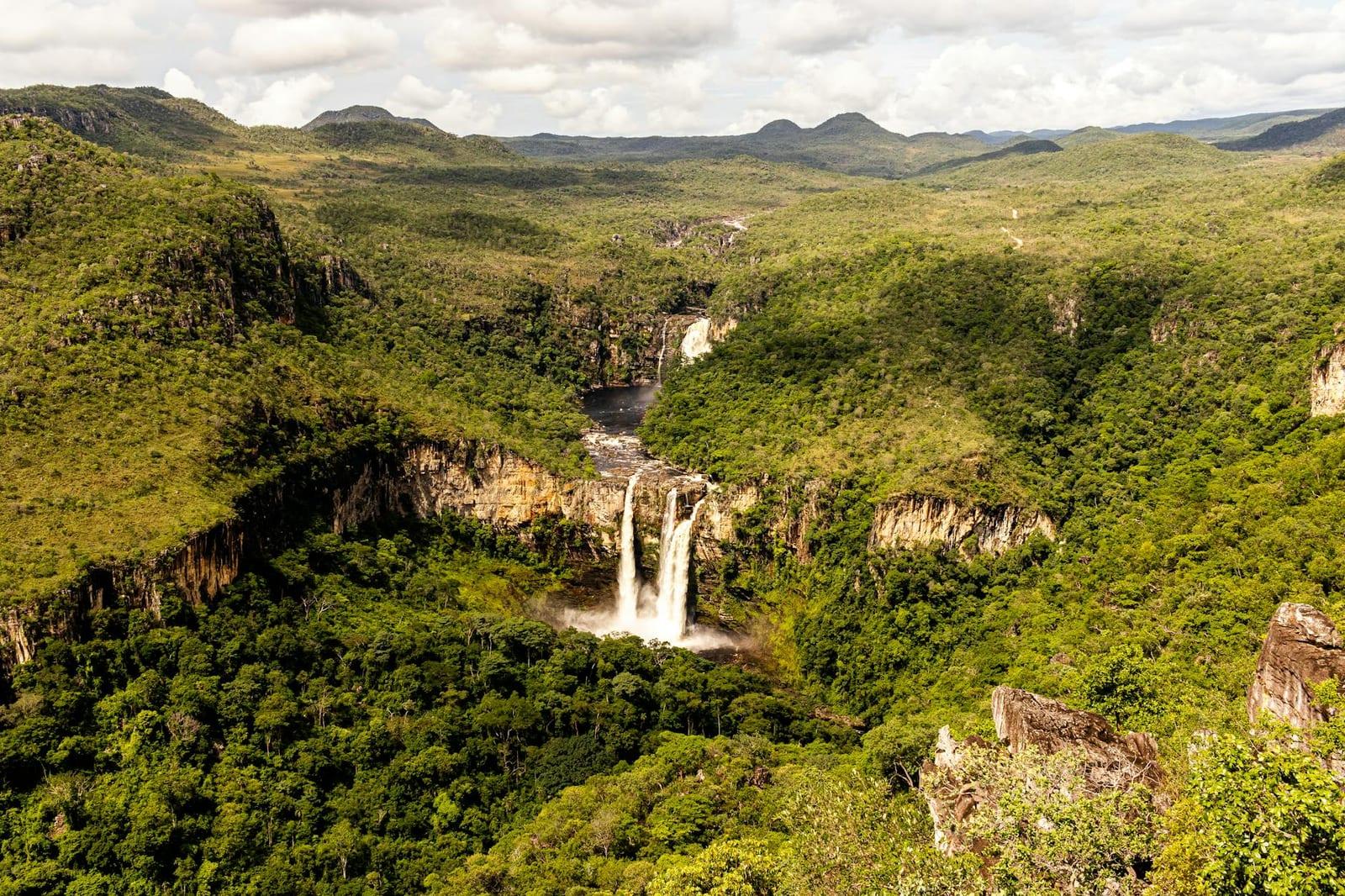 Jau National Park, Brazil