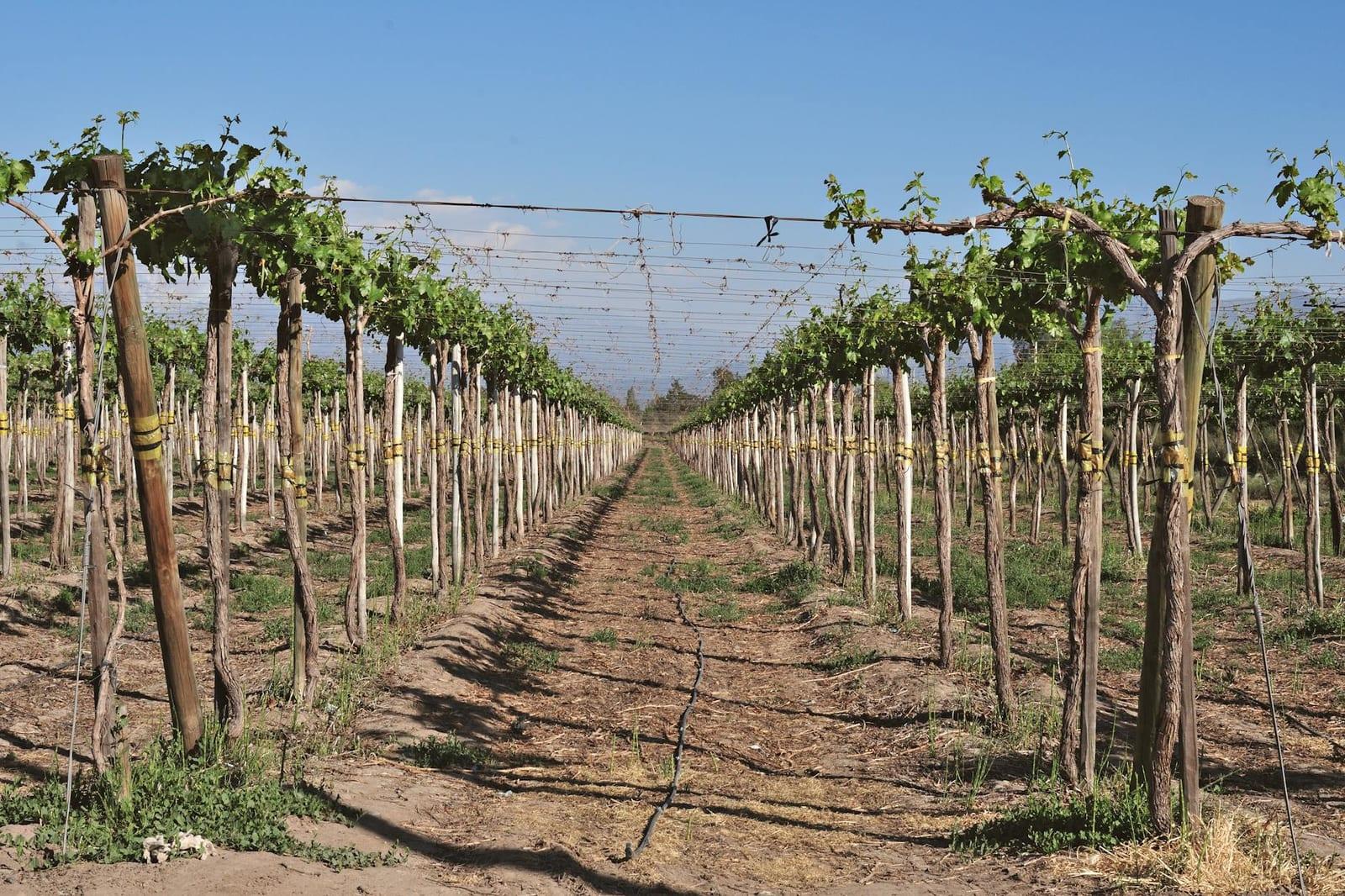 Chilean Central Valley, Chile