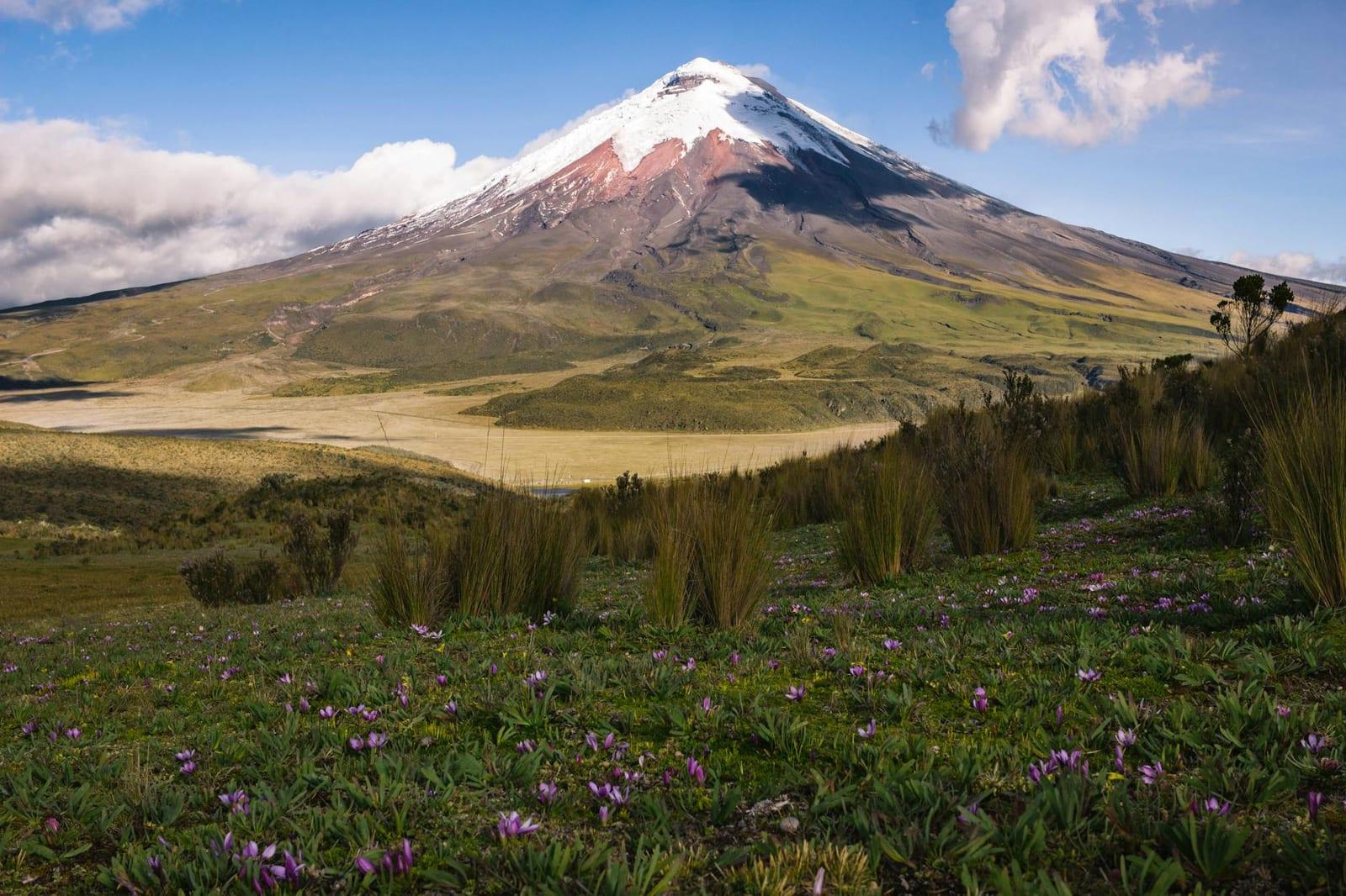 Cotopaxi National Park, Ecuador