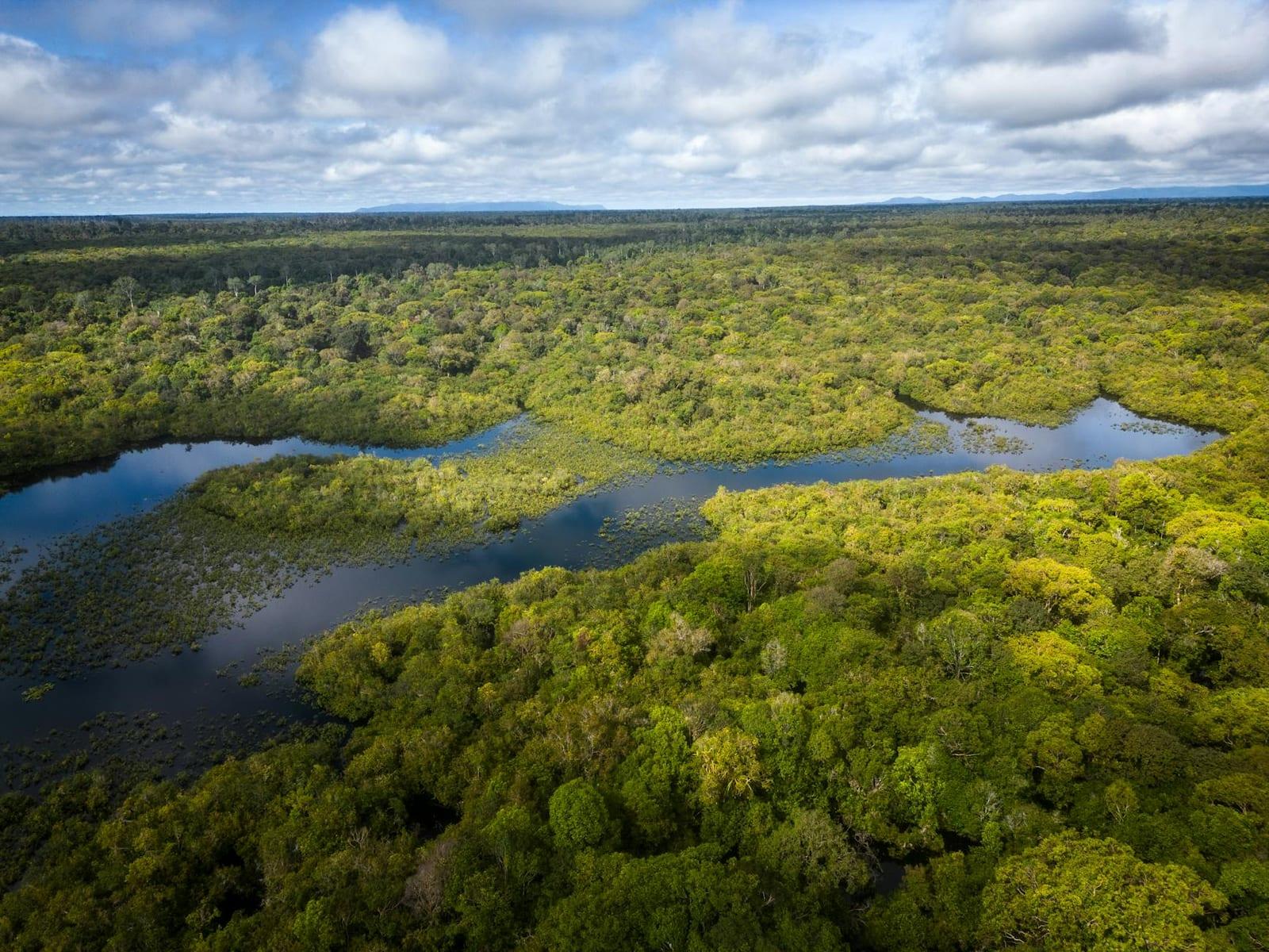 Kaw Swamps, French Guiana (France)