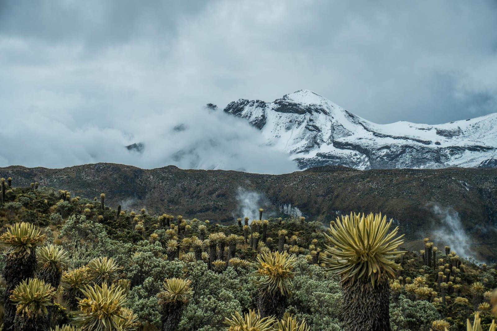 Sierra Nevada National Park, Venezuela