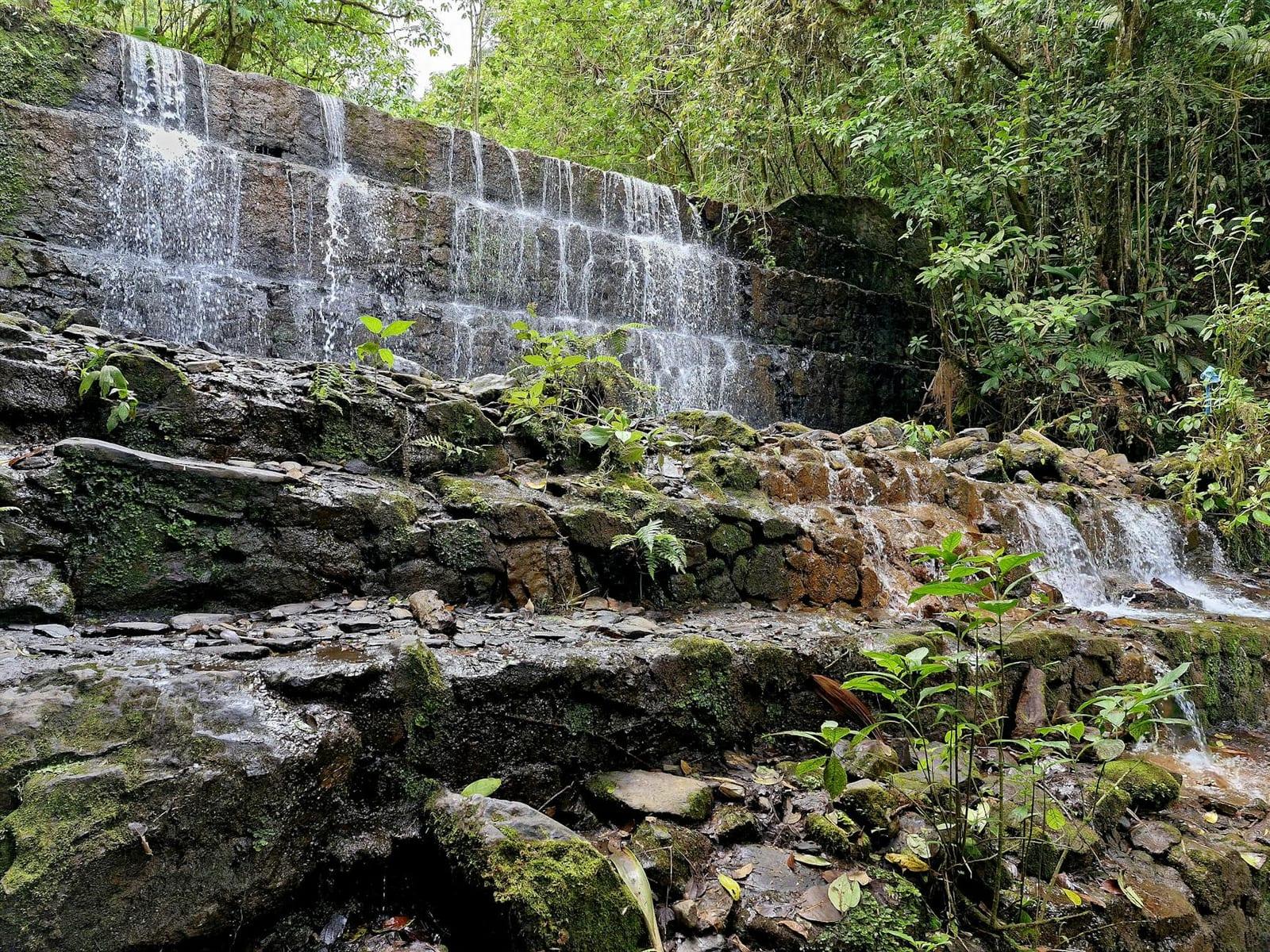 Henri Pittier National Park, Venezuela