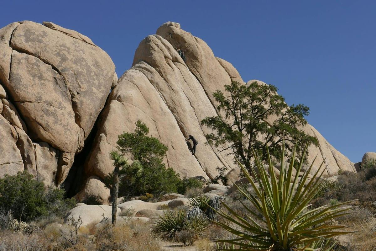 Joshua Tree — Climbing