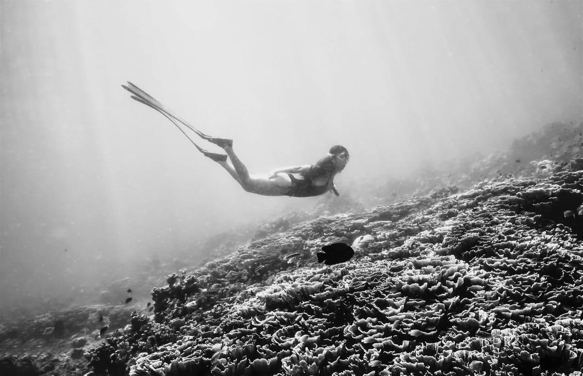 Amed, Bali — Freediving