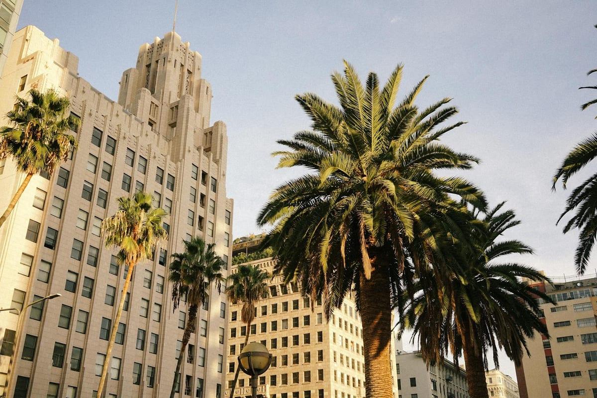 Los Angeles — Lifting