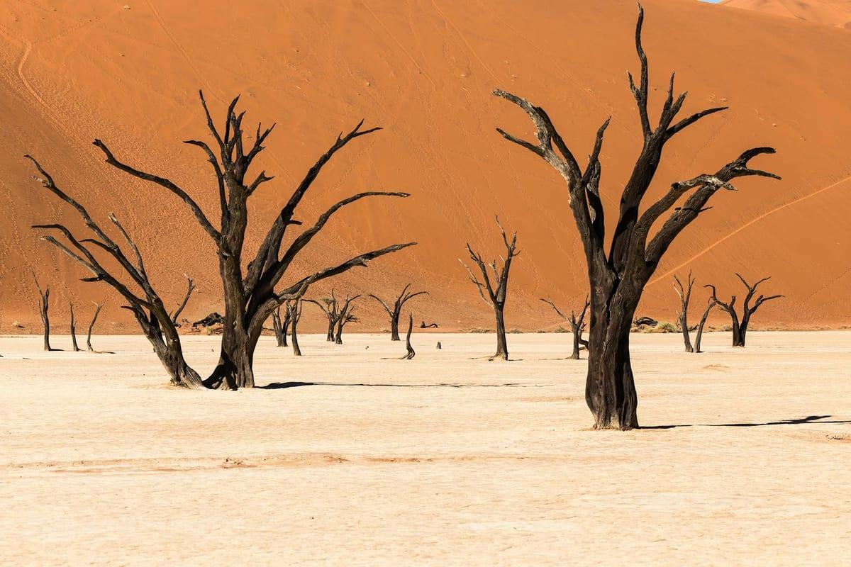 Deadvlei — Photography