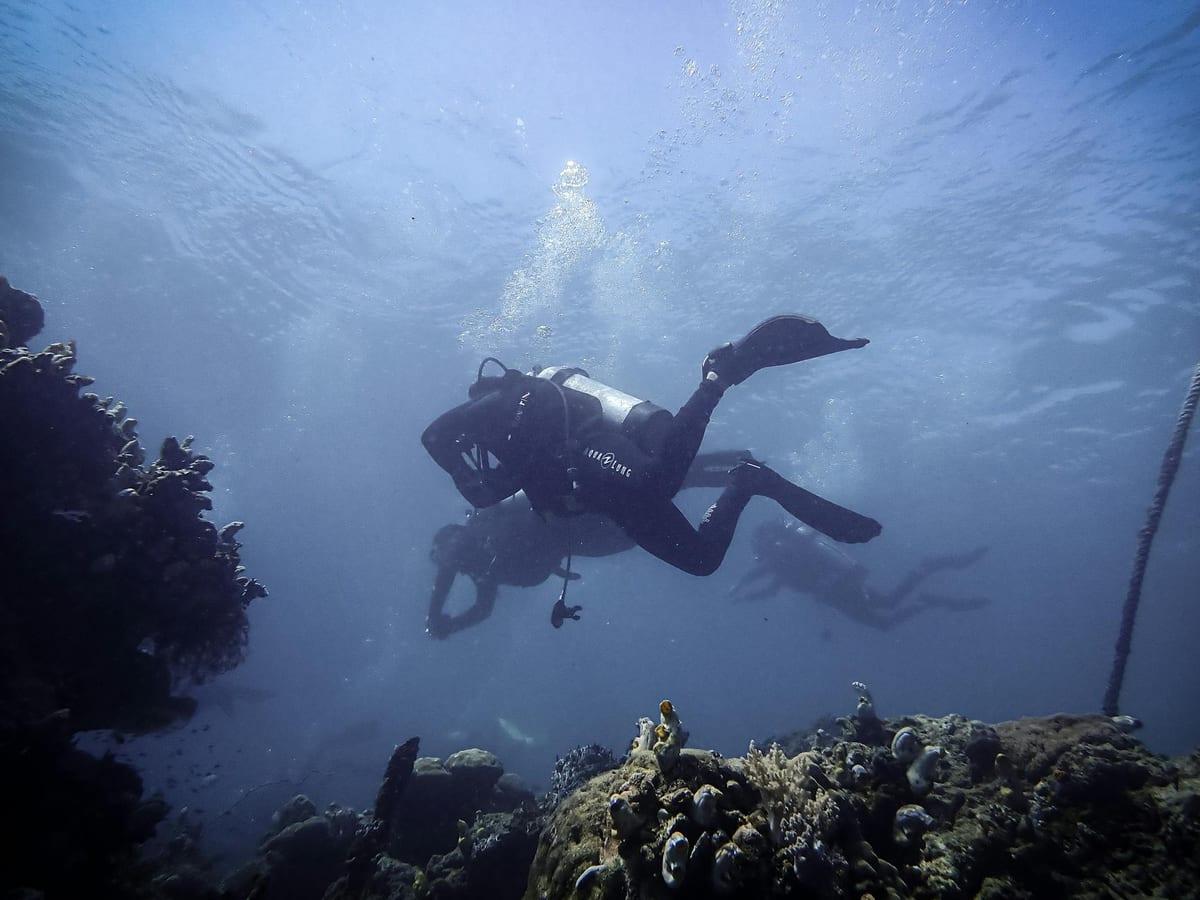 Solomon Islands — Scuba Diving