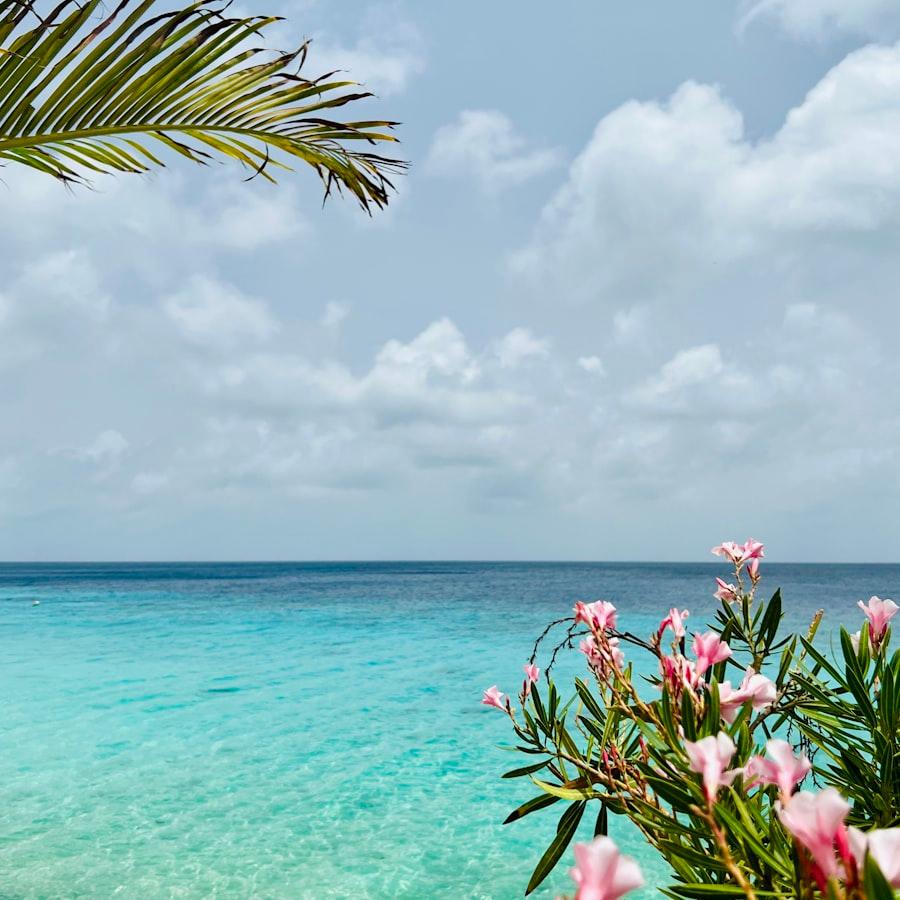 Bonaire — Scuba Diving
