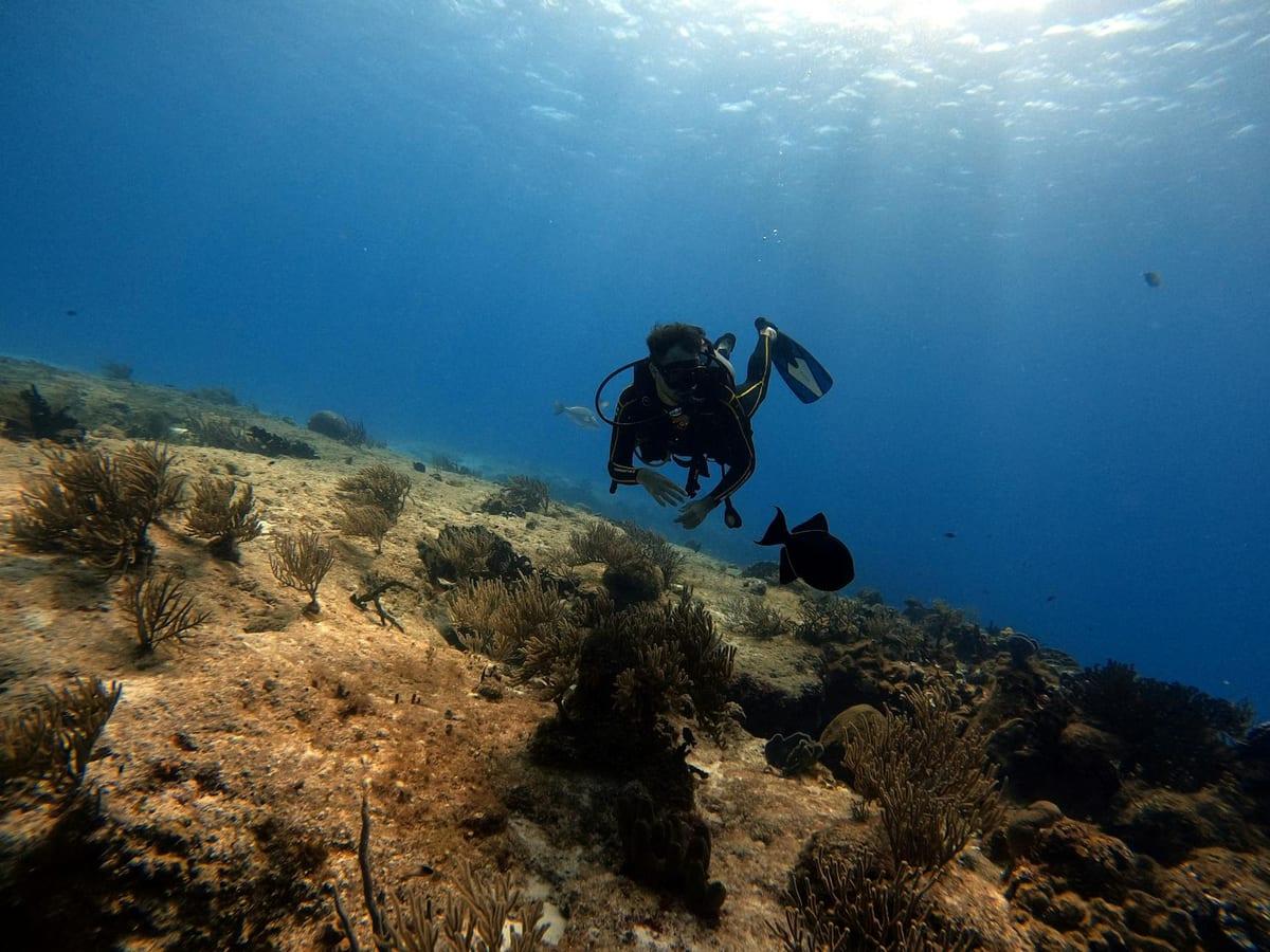 Cozumel — Scuba Diving