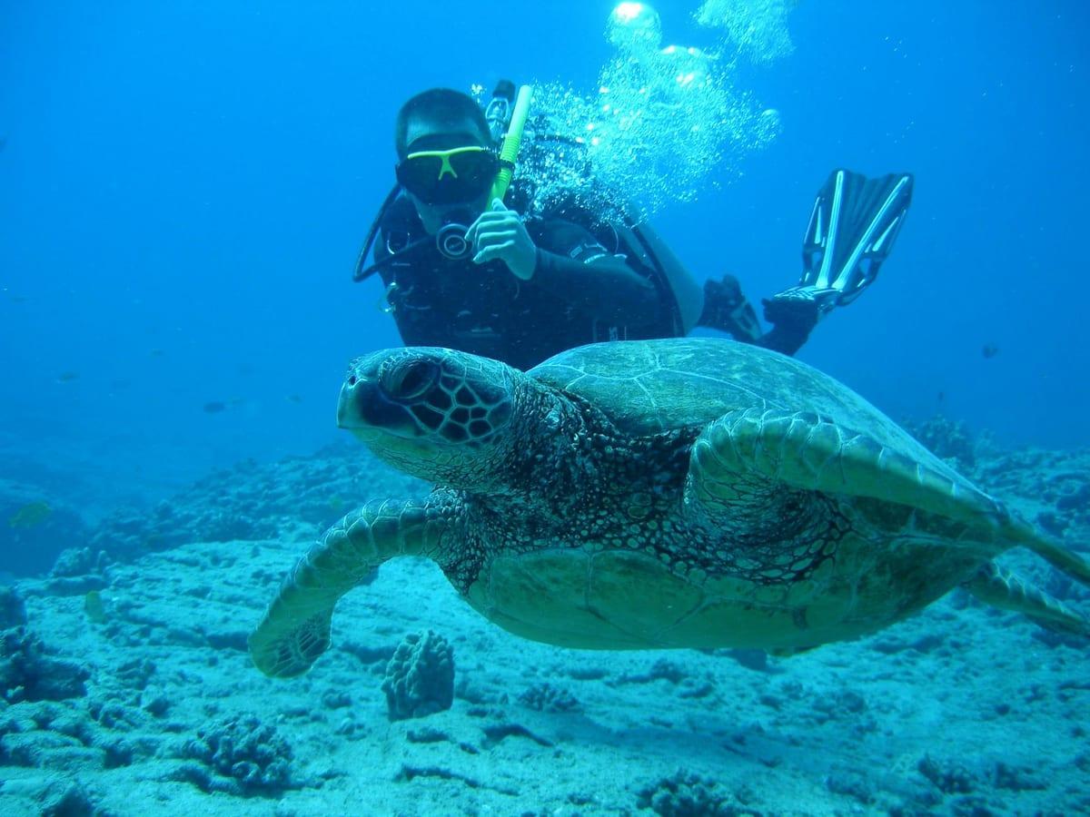 Hawaii — Scuba Diving