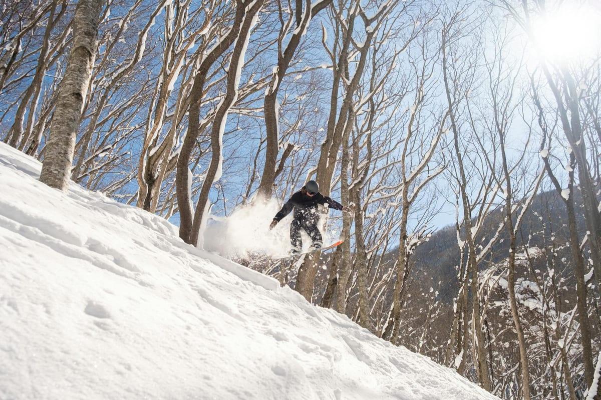 Niseko, Japan — Skiing