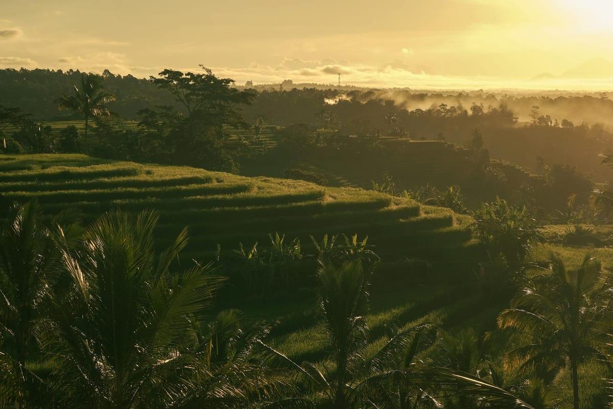 Ubud — Yoga