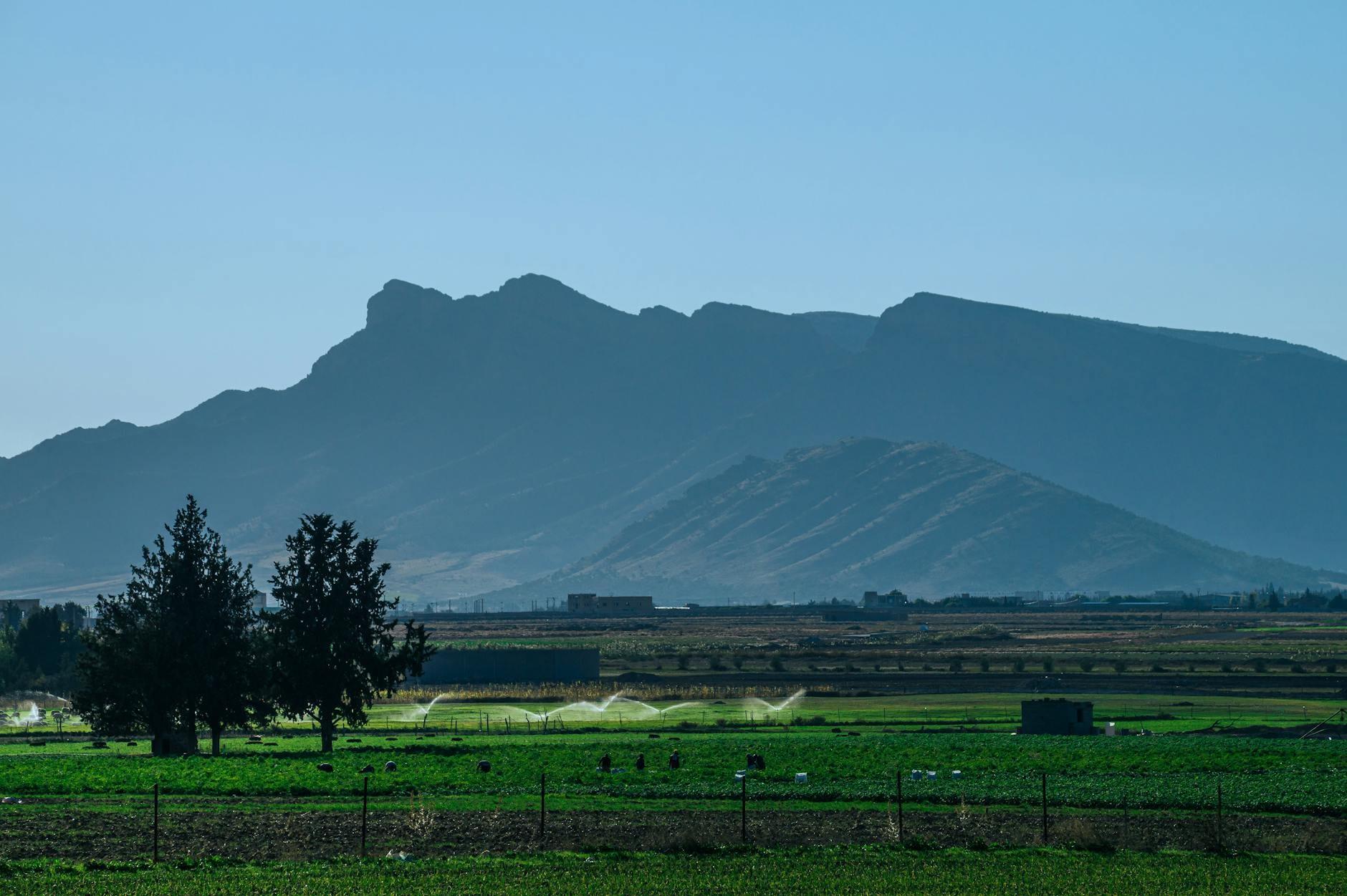 Algeria landscape