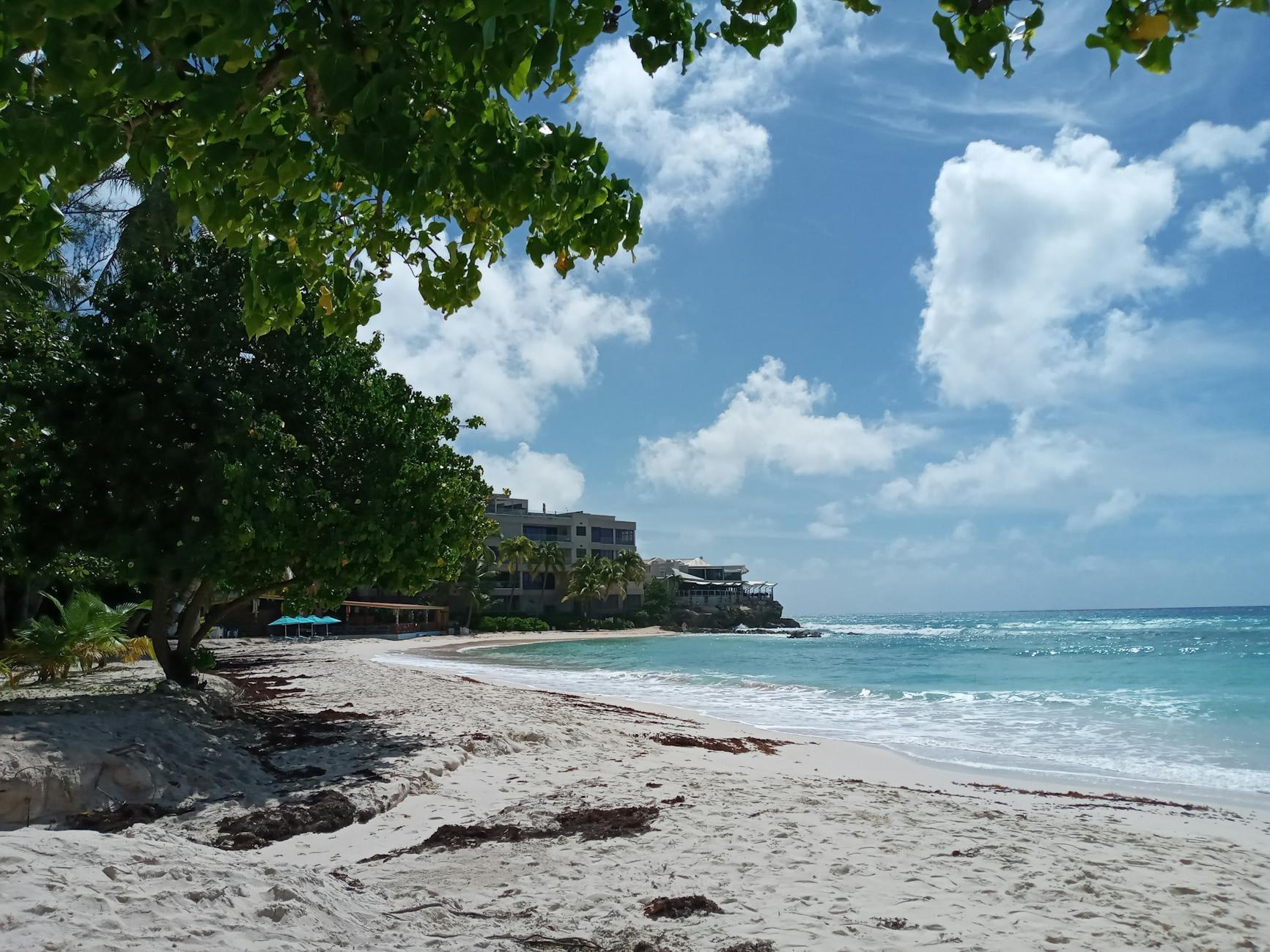 Barbados landscape