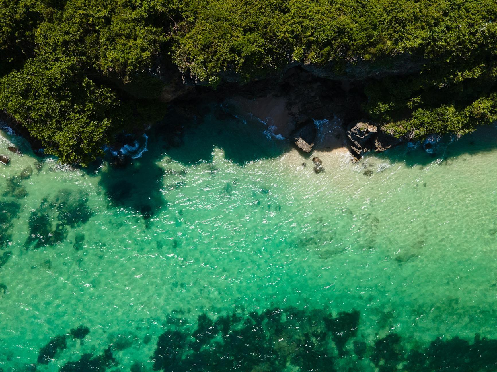 Christmas Island landscape