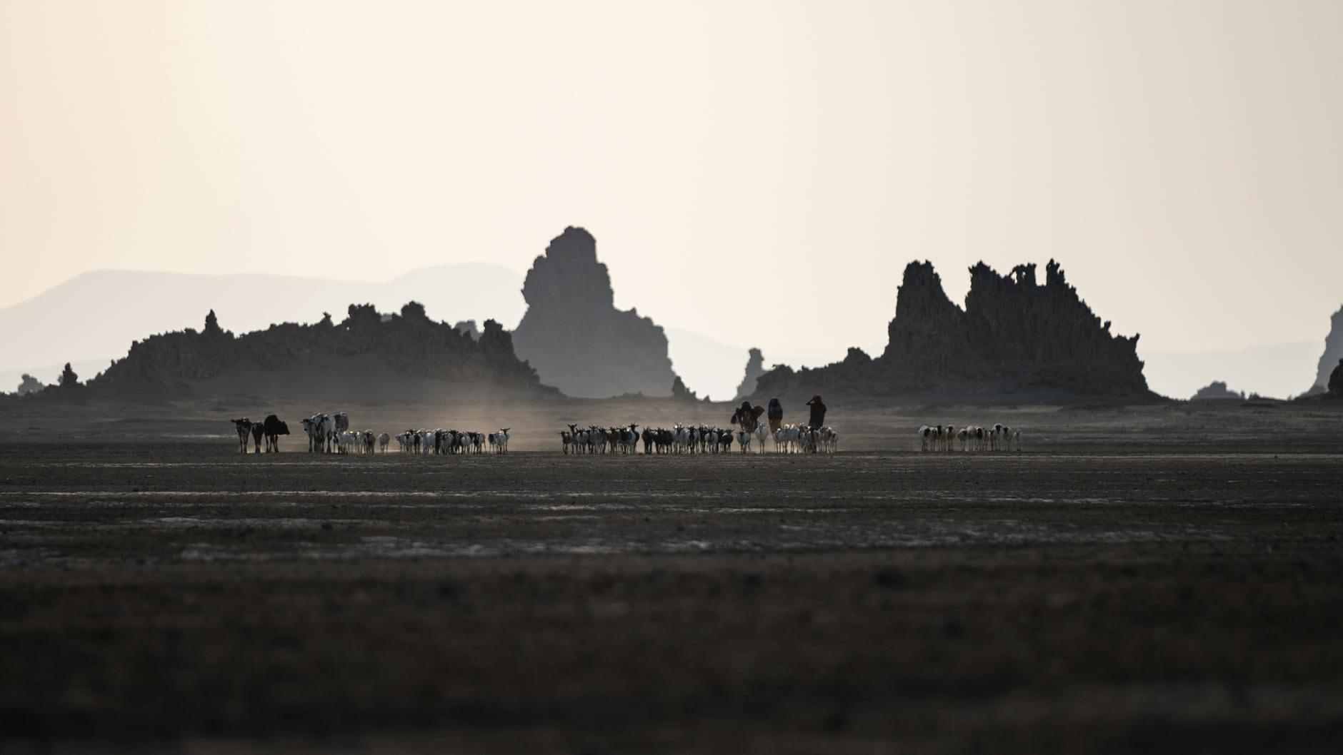 Djibouti landscape