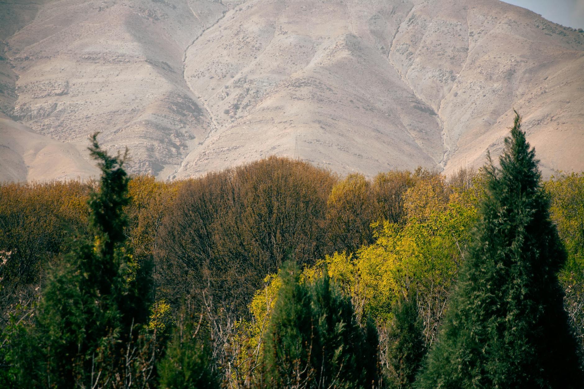 Iran landscape