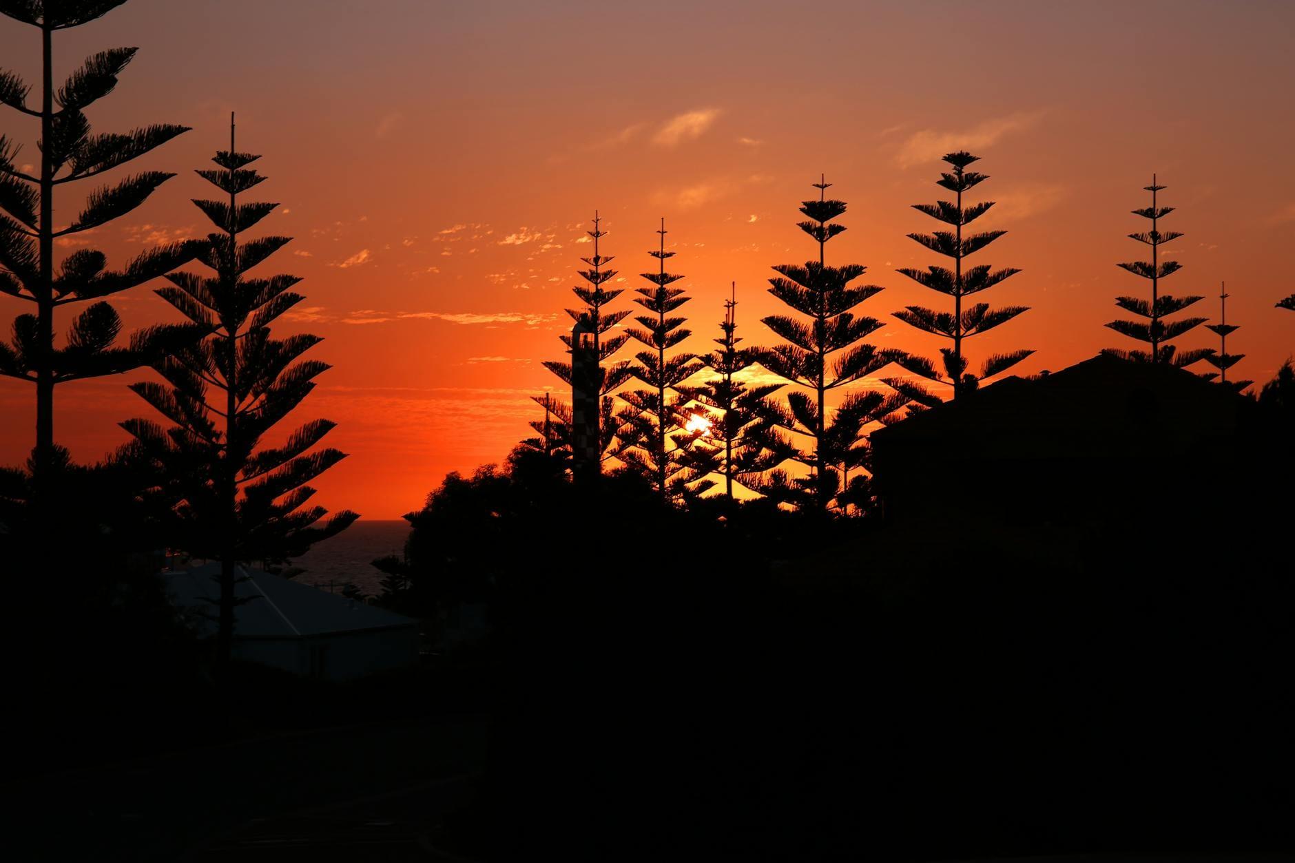 Norfolk Island landscape