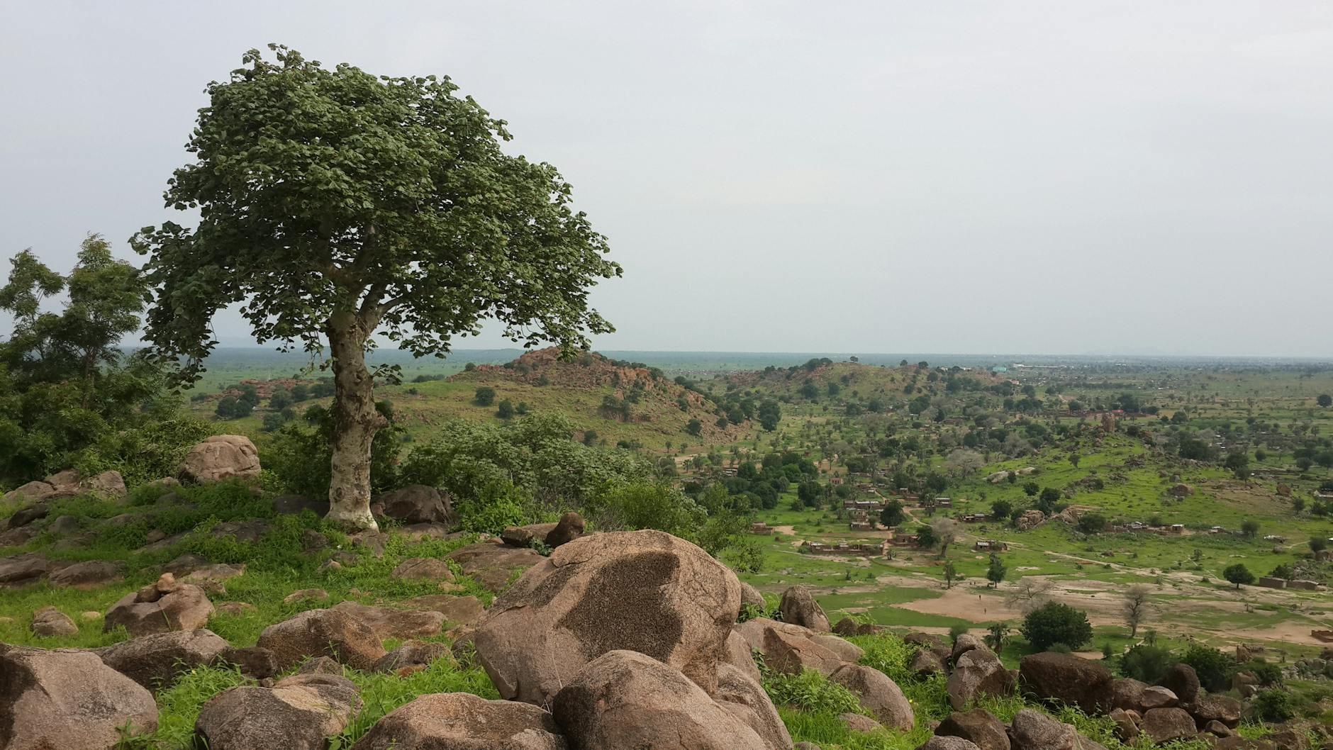 South Sudan landscape