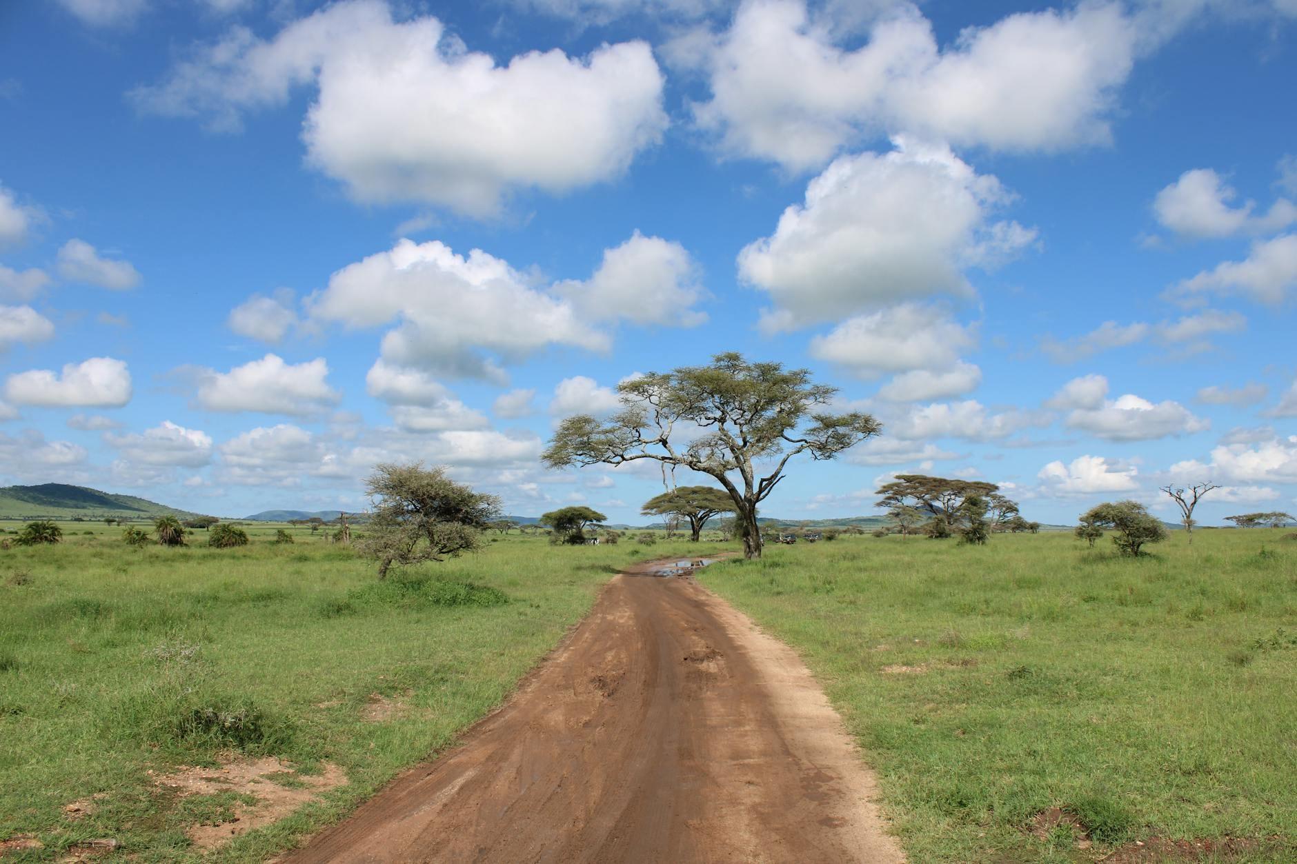 Tanzania landscape